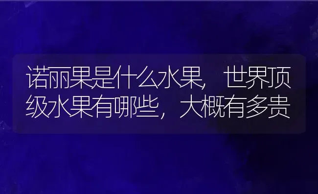 诺丽果是什么水果,世界顶级水果有哪些，大概有多贵 | 养殖常见问题