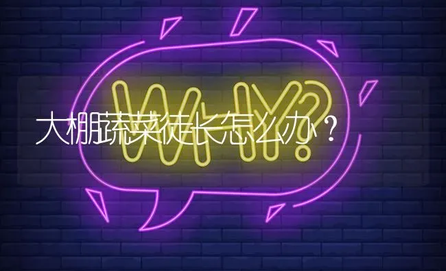 大棚蔬菜徒长怎么办? | 养殖问题解答