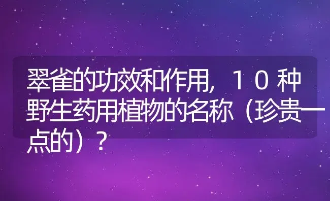 翠雀的功效和作用,10种野生药用植物的名称（珍贵一点的）？ | 养殖常见问题