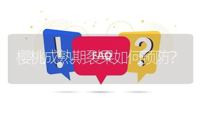 樱桃成熟期裂果如何预防? | 养殖问题解答