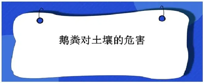 鹅粪对土壤的危害 | 农业常识