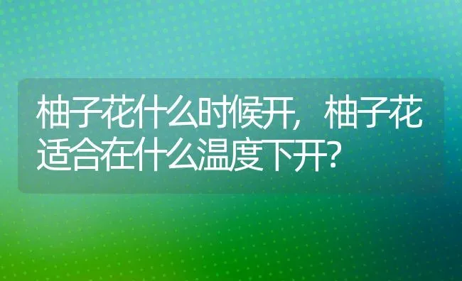 柚子花什么时候开,柚子花适合在什么温度下开？ | 养殖常见问题