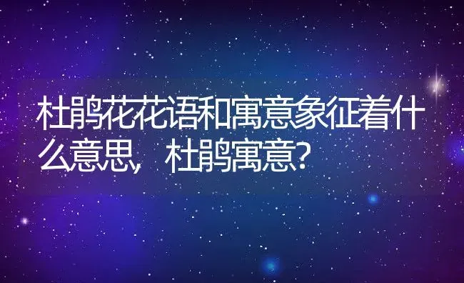 杜鹃花花语和寓意象征着什么意思,杜鹃寓意？ | 养殖常见问题