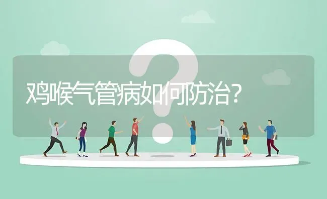 鸡喉气管病如何防治? | 养殖问题解答