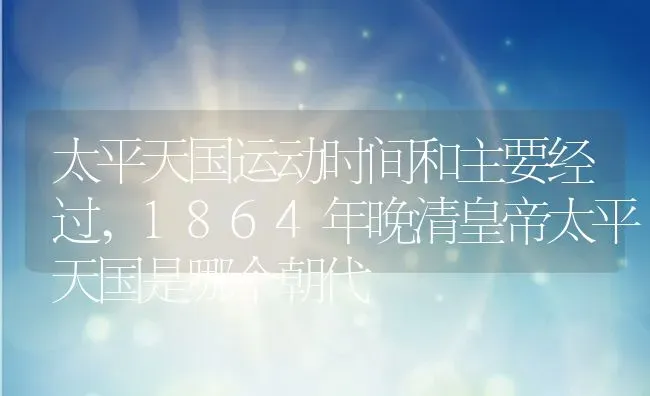 太平天国运动时间和主要经过,1864年晚清皇帝太平天国是哪个朝代 | 养殖常见问题