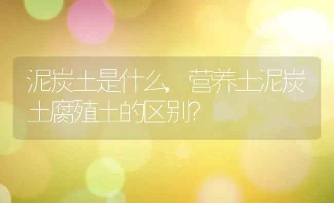 泥炭土是什么,营养土泥炭土腐殖土的区别？ | 养殖常见问题