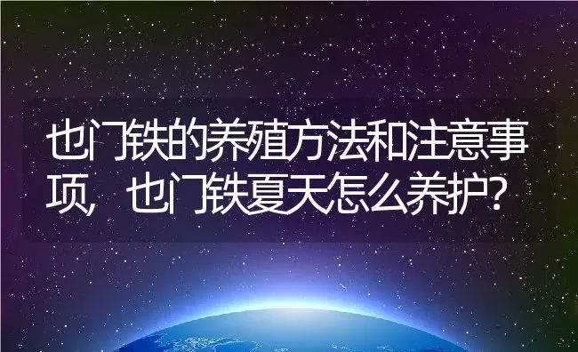 也门铁的养殖方法和注意事项,也门铁夏天怎么养护？ | 养殖常见问题