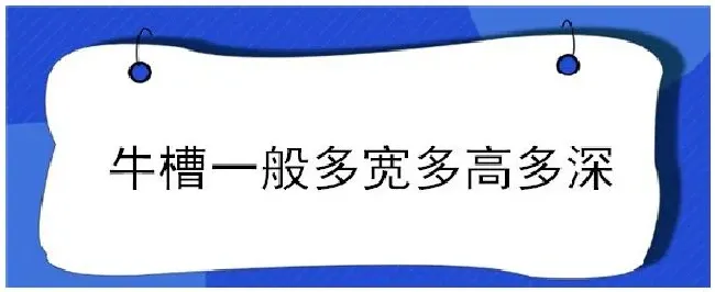 牛槽一般多宽多高多深 | 农业答疑