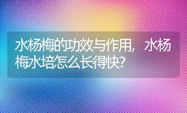 水杨梅的功效与作用,水杨梅水培怎么长得快？ | 养殖常见问题