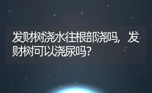 发财树浇水往根部浇吗,发财树可以浇尿吗？ | 养殖常见问题