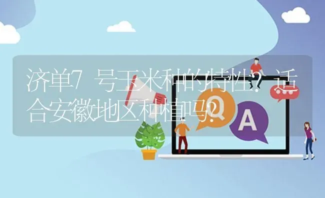 济单7号玉米种的特性?适合安徽地区种植吗? | 养殖问题解答