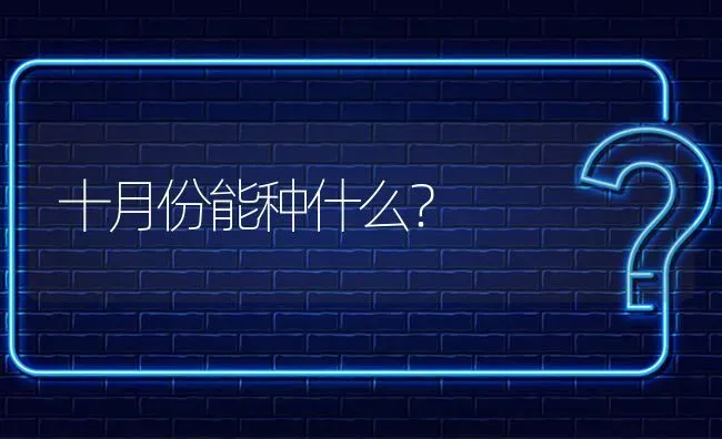 十月份能种什么? | 养殖问题解答