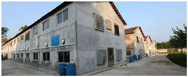 高架床猪舍建造尺寸 | 三农答疑