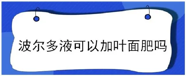 波尔多液可以加叶面肥吗 | 科普知识