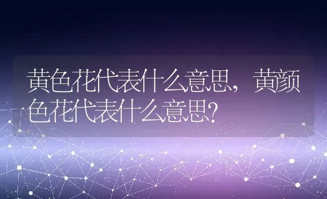 黄色花代表什么意思,黄颜色花代表什么意思？ | 养殖常见问题