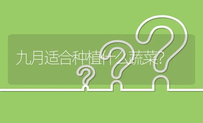 九月适合种植什么蔬菜? | 养殖问题解答