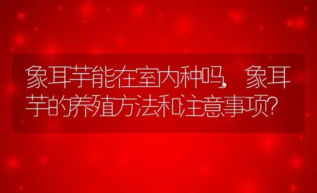 象耳芋能在室内种吗,象耳芋的养殖方法和注意事项？ | 养殖常见问题