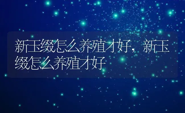 新玉缀怎么养殖才好,新玉缀怎么养殖才好 | 养殖常见问题