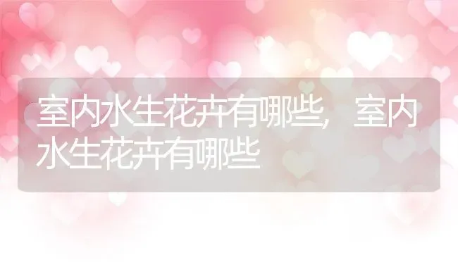 室内水生花卉有哪些,室内水生花卉有哪些 | 养殖常见问题