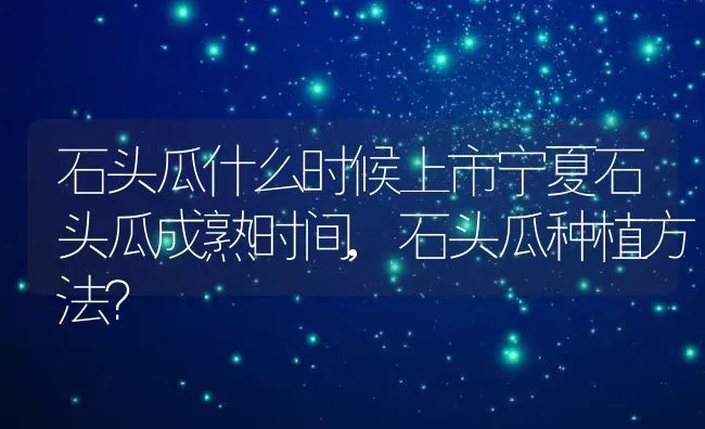 石头瓜什么时候上市宁夏石头瓜成熟时间,石头瓜种植方法？ | 养殖常见问题