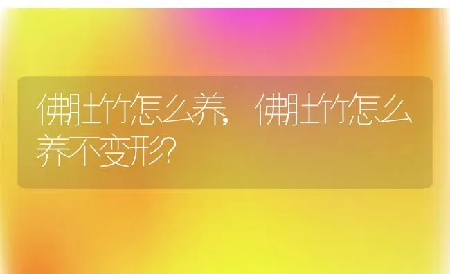 佛肚竹怎么养,佛肚竹怎么养不变形？ | 养殖常见问题