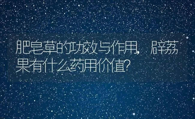 小盆栽百合花怎么养,百合花盆栽怎么养殖？ | 养殖常见问题