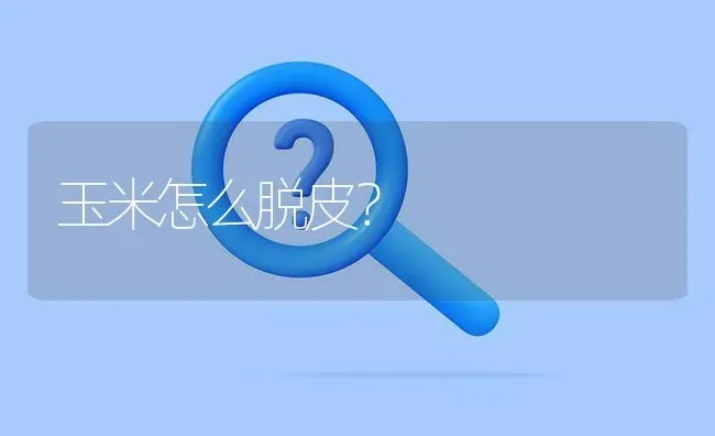 玉米怎么脱皮? | 养殖问题解答