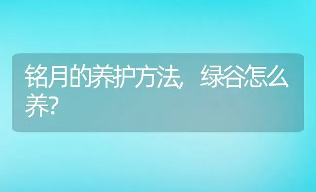 铭月的养护方法,绿谷怎么养？ | 养殖常见问题