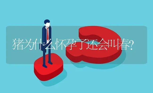 猪为什么怀孕了还会叫春? | 养殖问题解答