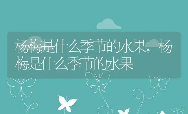 杨梅是什么季节的水果,杨梅是什么季节的水果 | 养殖常见问题