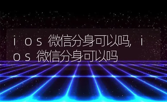 ios微信分身可以吗,ios微信分身可以吗 | 养殖常见问题