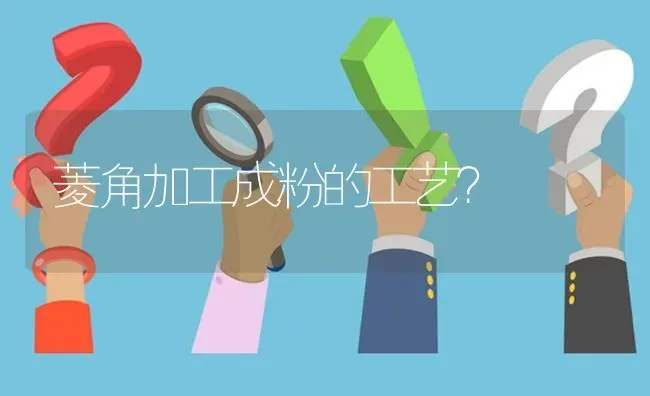菱角加工成粉的工艺? | 养殖问题解答
