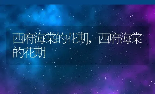 西府海棠的花期,西府海棠的花期 | 养殖常见问题
