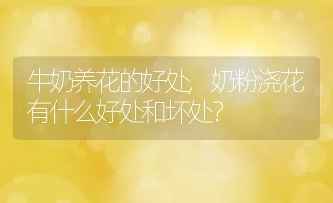 牛奶养花的好处,奶粉浇花有什么好处和坏处？ | 养殖常见问题