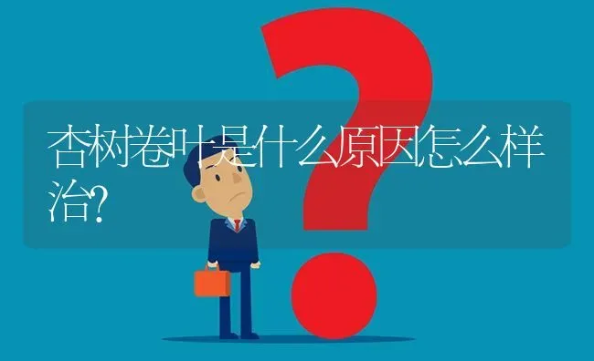 杏树卷叶是什么原因怎么样治? | 养殖问题解答