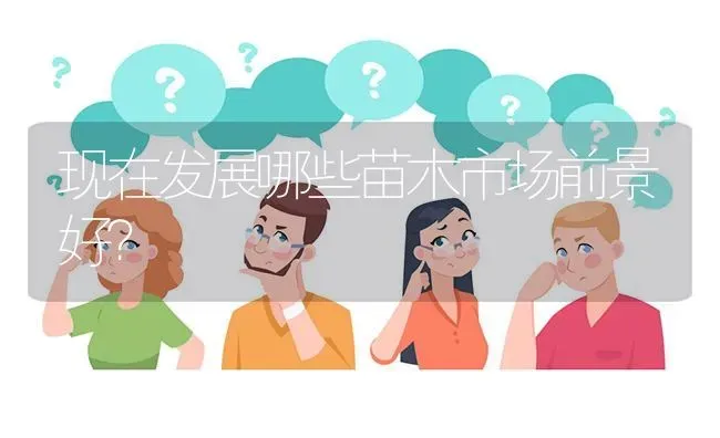 现在发展哪些苗木市场前景好? | 养殖问题解答