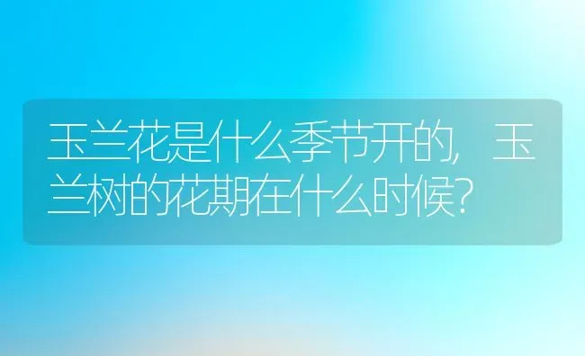 玉兰花是什么季节开的,玉兰树的花期在什么时候？ | 养殖常见问题