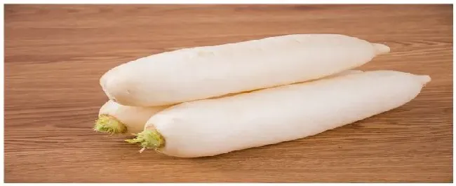 白萝卜怎么种植方法 | 生活常识