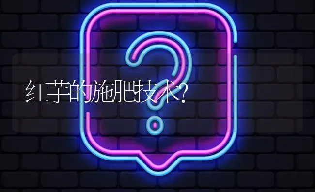 红芋的施肥技术? | 养殖问题解答