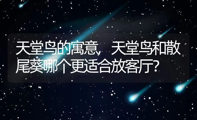 天堂鸟的寓意,天堂鸟和散尾葵哪个更适合放客厅？ | 养殖常见问题