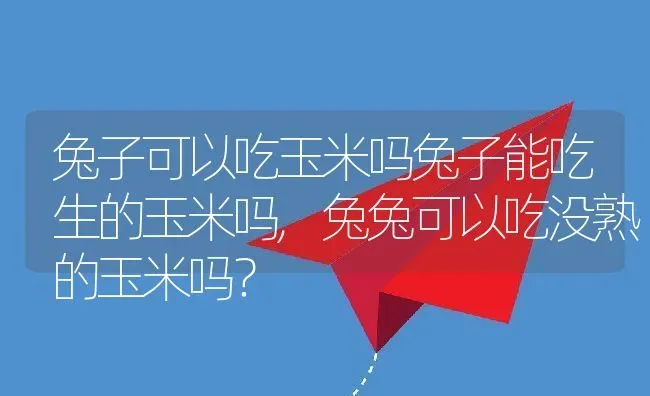 兔子可以吃玉米吗兔子能吃生的玉米吗,兔兔可以吃没熟的玉米吗？ | 养殖常见问题