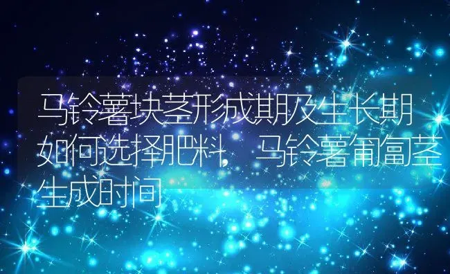 马铃薯块茎形成期及生长期如何选择肥料,马铃薯匍匐茎生成时间 | 养殖常见问题