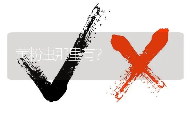黄粉虫那里有? | 养殖问题解答
