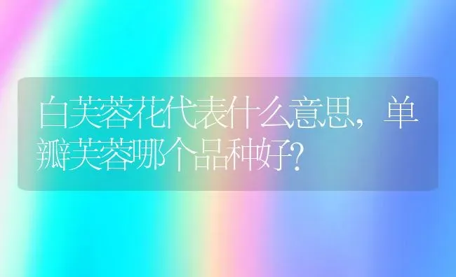 千年木的功效与作用,千年木喜阴还是喜阳？ | 养殖常见问题