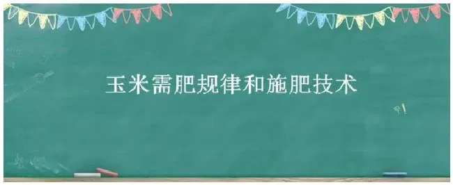 玉米需肥规律和施肥技术 | 科普知识