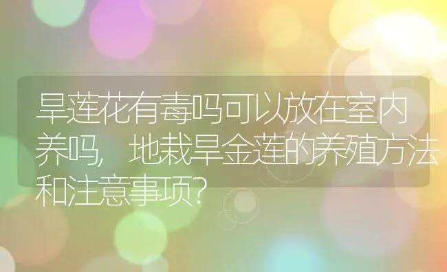 旱莲花有毒吗可以放在室内养吗,地栽旱金莲的养殖方法和注意事项？ | 养殖常见问题