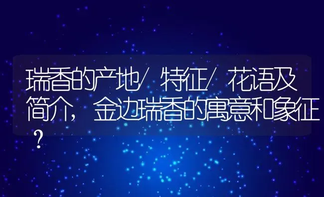 瑞香的产地/特征/花语及简介,金边瑞香的寓意和象征？ | 养殖常见问题