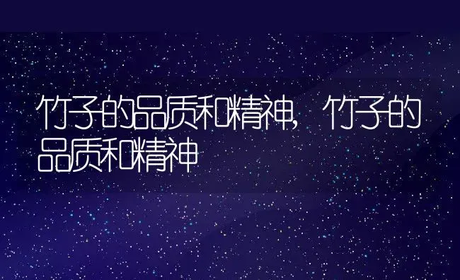 竹子的品质和精神,竹子的品质和精神 | 养殖常见问题