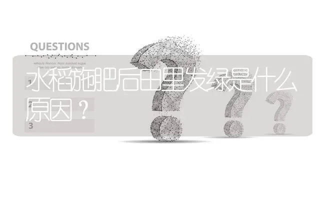 水稻施肥后田里发绿是什么原因? | 养殖问题解答