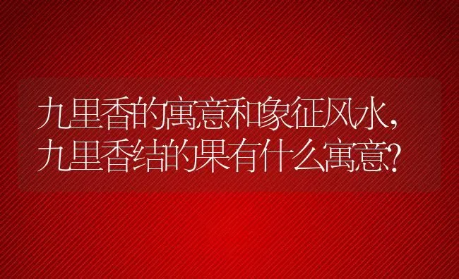 九里香的寓意和象征风水,九里香结的果有什么寓意？ | 养殖常见问题